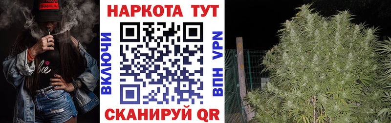 Где купить наркотики Тогучин Галлюциногенные грибы  МАРИХУАНА  A PVP  ГАШИШ  Мефедрон  КОКАИН  АМФ 