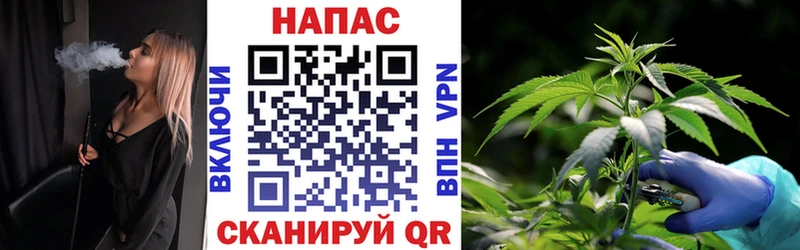 даркнет сайт  Тогучин  Бошки марихуана конопля 